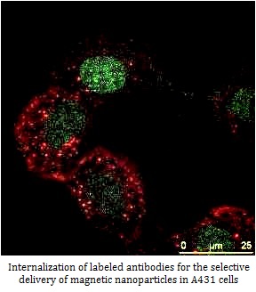 nanoparticles